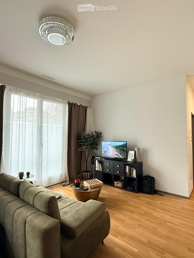 Modern living room with a grey sectional sofa, coffee table, television on a bookshelf, and a potted plant near the window.