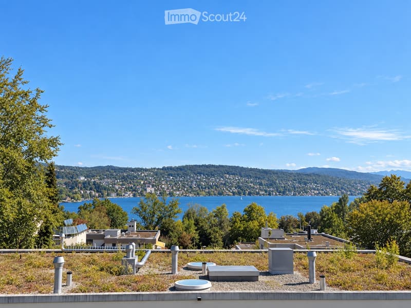 Green roof with small water features and a scenic view of a lake and distant mountains.