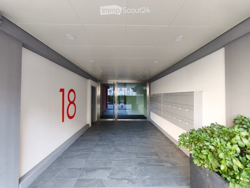 Modern hallway with grey tiled floor, white walls, ceiling lights, mailboxes, and a potted plant on the right side.