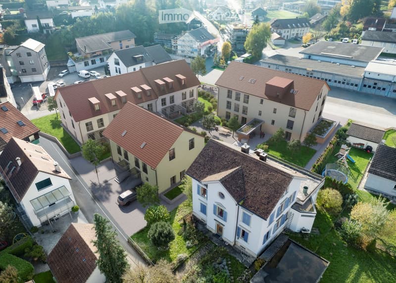 Aerial view of a residential area with multiple houses, some with brown roofs, some with yellow facades, surrounded by greenery and trees, with a car parked in front of one of the houses.