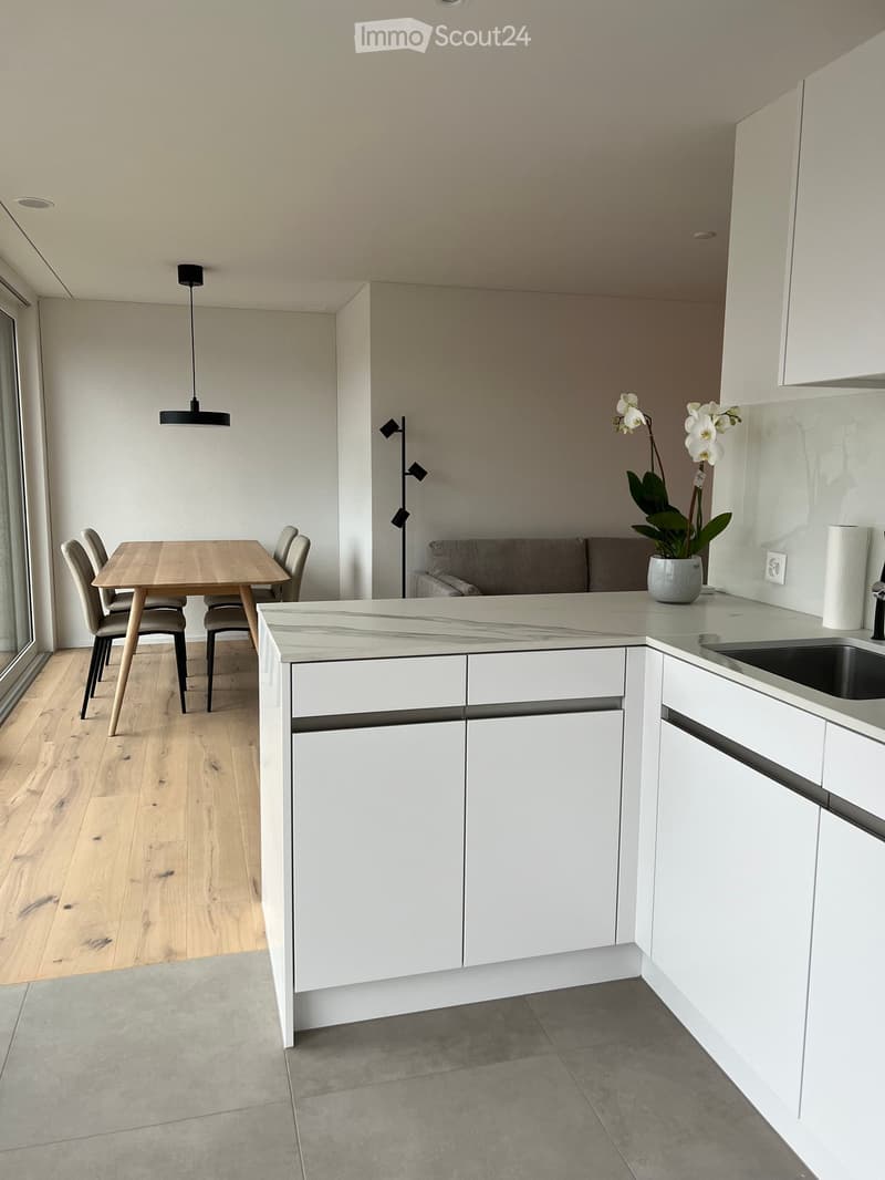 Modern kitchen with white cabinets, marble countertop, dining table with chairs, and a small sofa area with a flower pot.