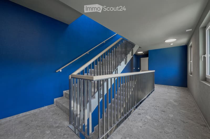 Modern hallway with a staircase featuring a metal railing, blue walls, and grey tiled flooring. The space is well-lit with recessed ceiling lights and has a window on the right side.