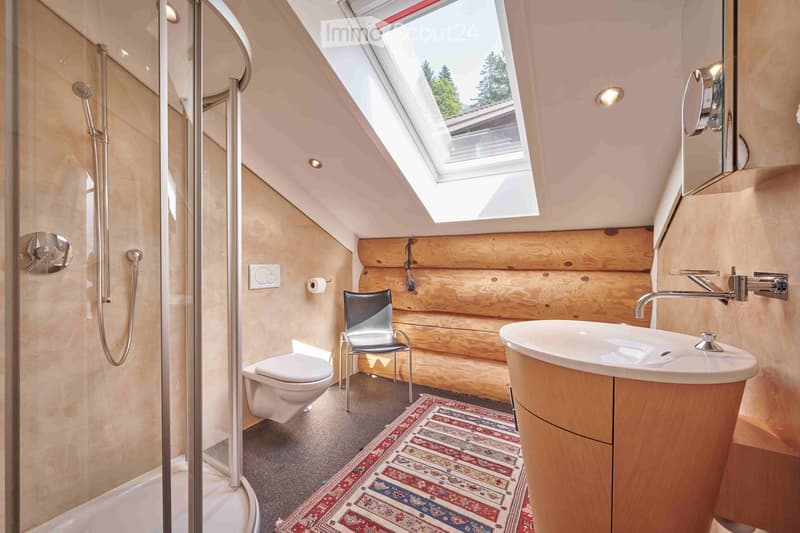 Shower enclosure, wooden wall, skylight, toilet, sink, chair, rug