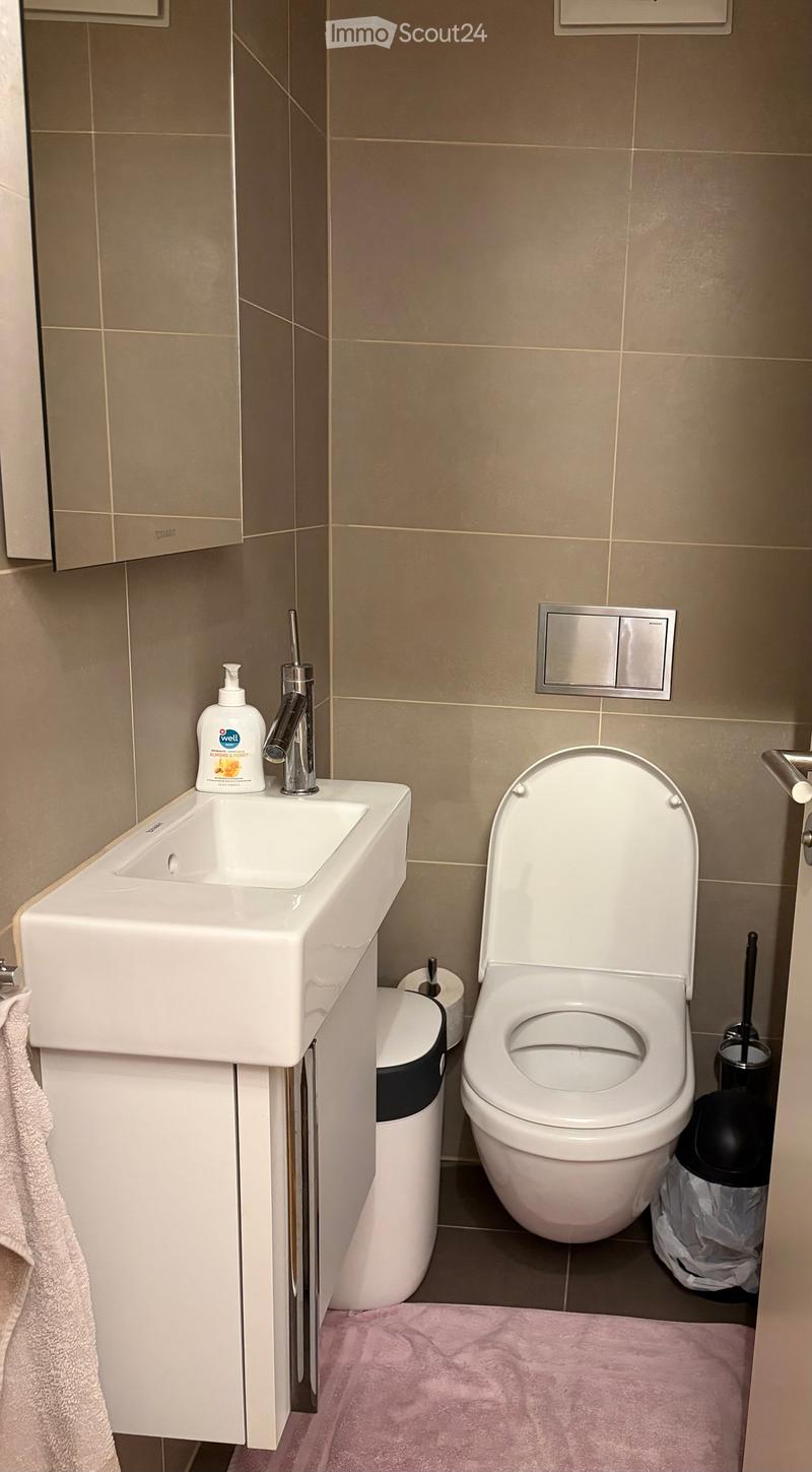 Modern bathroom with a white sink, chrome faucet, toilet, and a pink bath mat on the floor.