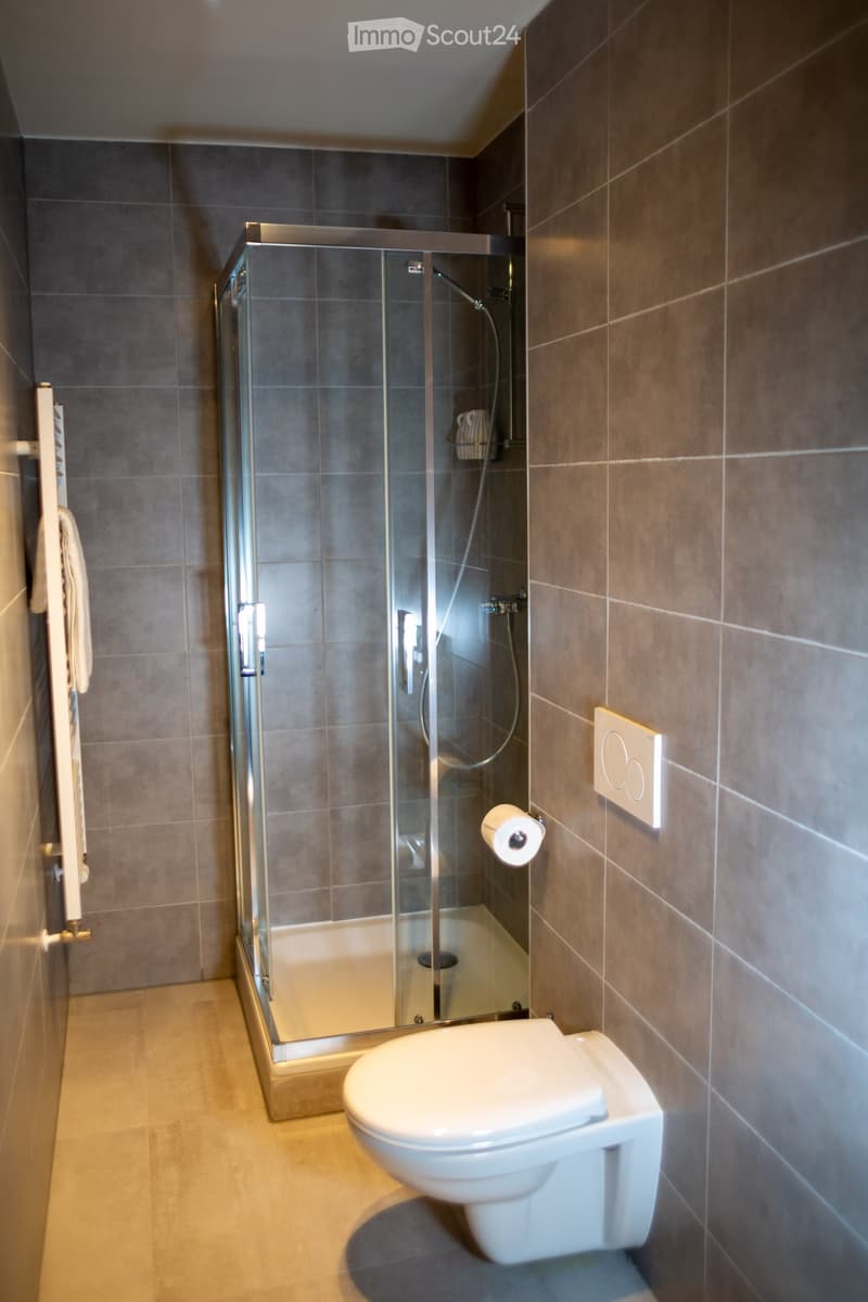 Modern bathroom with a glass-enclosed shower, toilet, towel rack, and toilet paper holder.