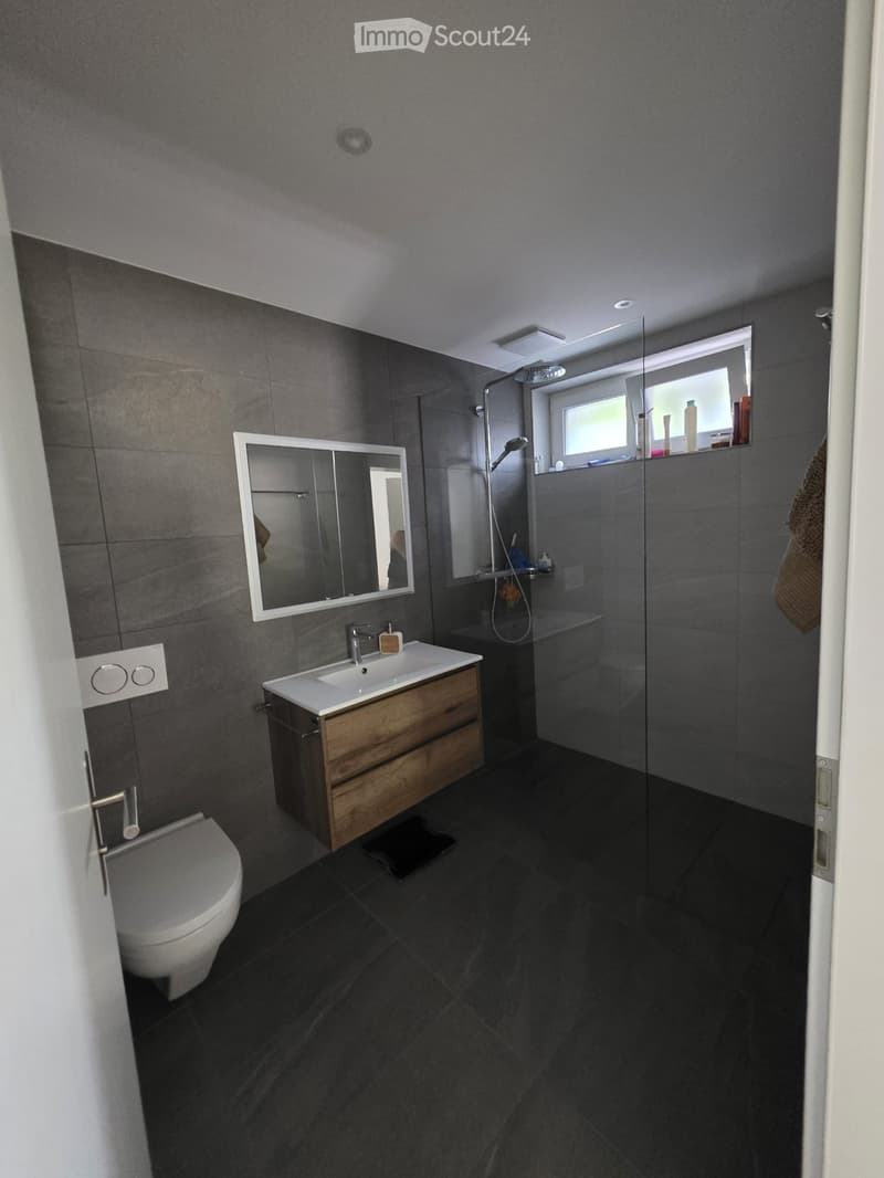 Modern bathroom with dark grey tiles, a white sink with wooden cabinet, a toilet, a large mirror, and a glass-enclosed shower area with a window.