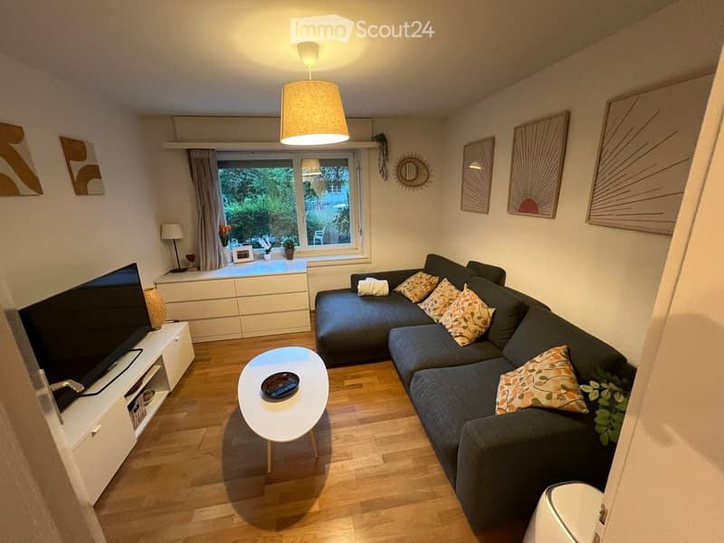 Modern living room with a grey sectional sofa, colorful throw pillows, a white coffee table, a flat-screen TV on a white stand, and a hanging pendant light. The room features wooden flooring and large windows with curtains, offering a view of greenery out