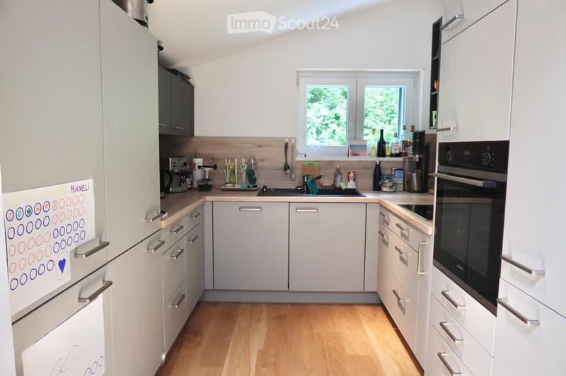 Modern kitchen with white cabinets, wooden flooring, stainless steel appliances, and a window overlooking greenery.