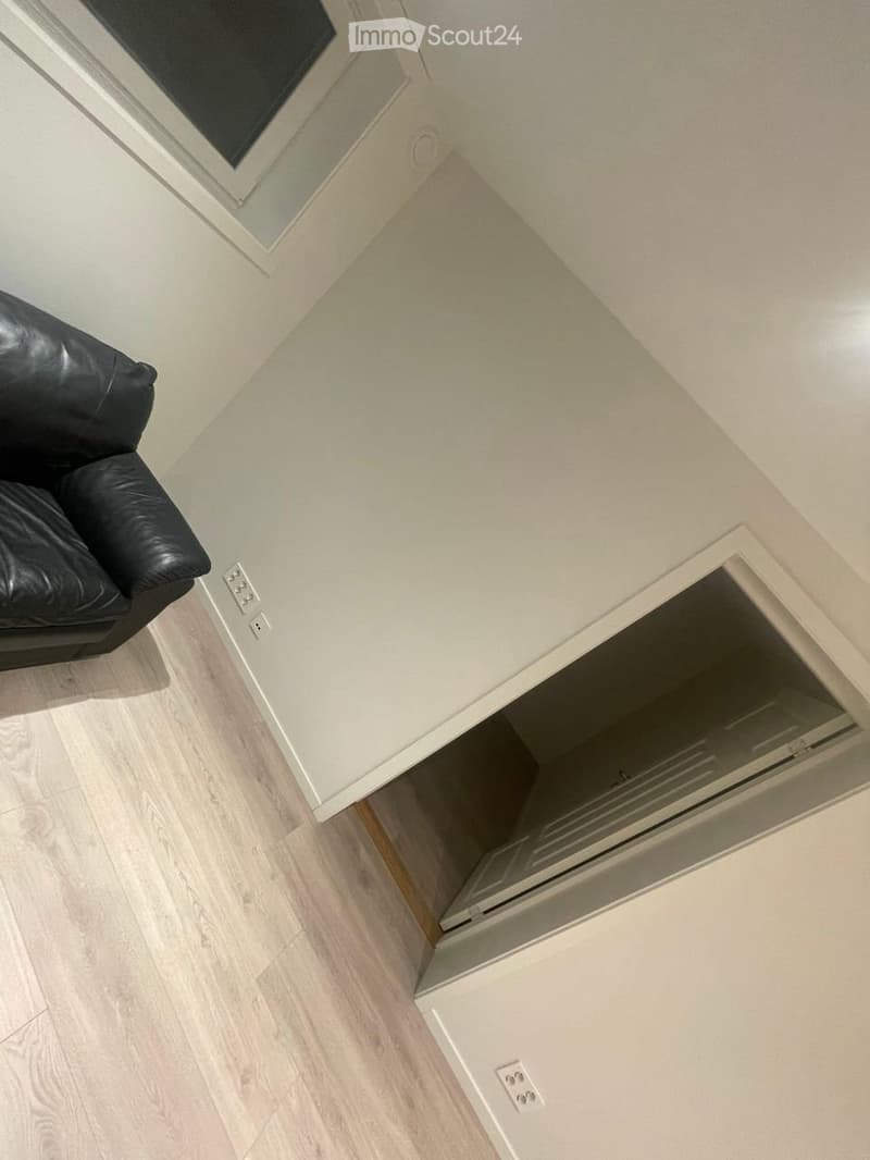 A modern living room with light wooden flooring, white walls, and a black leather sofa partially visible on the left side. The room features a skylight window and an open doorway leading to another space.