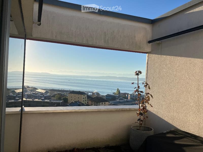 Balcony with a view of the city and water, featuring a single potted plant.