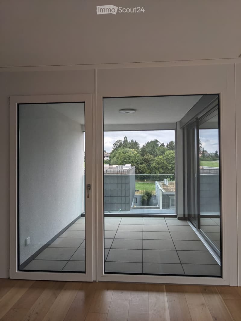 Modern hallway with wooden flooring, large glass sliding doors leading to a tiled balcony area with a view of greenery and neighboring buildings.