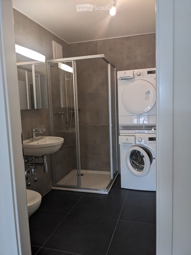 Modern bathroom with a glass-enclosed shower, sink, toilet, and stacked washer/dryer unit.