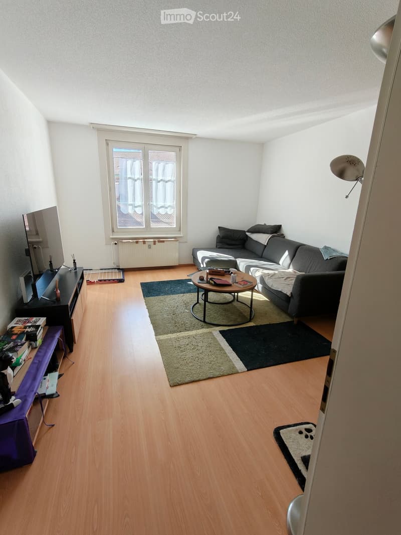 Living room with wooden flooring, a grey sofa, a round coffee table, a TV stand with books, and a wall-mounted lamp.