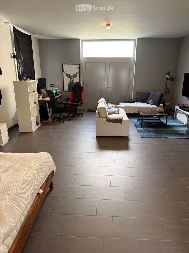 Apartment in Zürich (2)