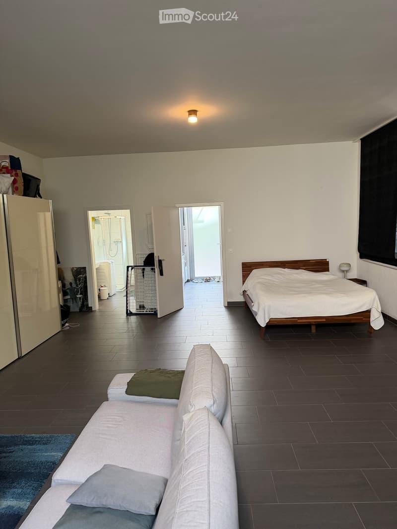 Apartment in Zürich (1)