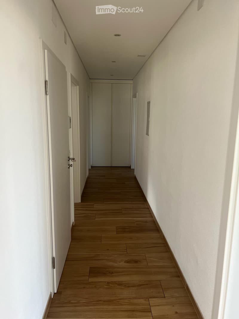Affitasi 4.5 Camorino vista mozzafiato (7)