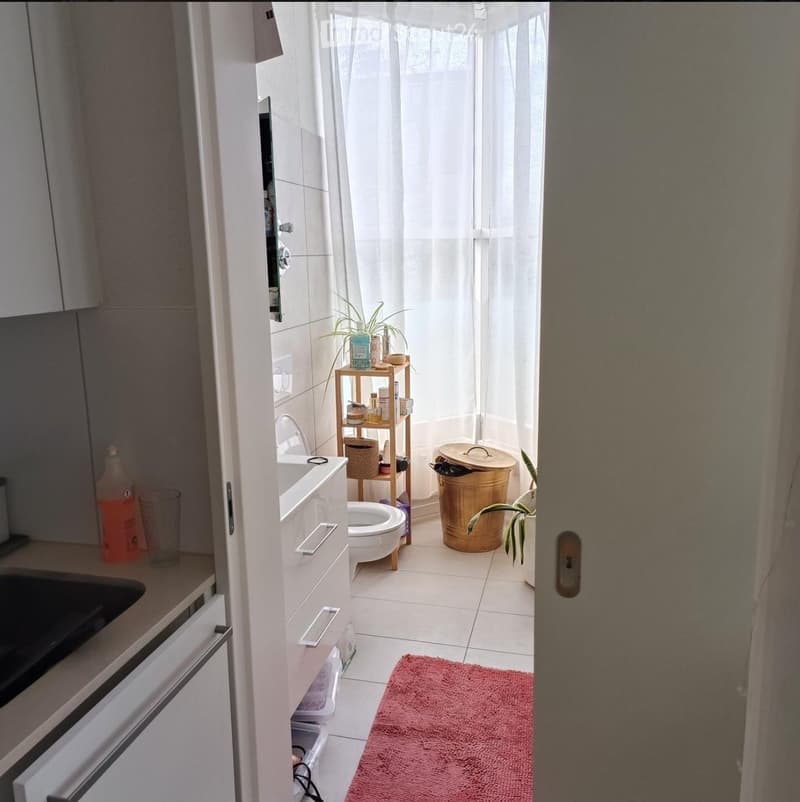 Bathroom with a sink, toilet, shower curtain, wooden shelf, trash bin, plant, and a red rug on the floor.