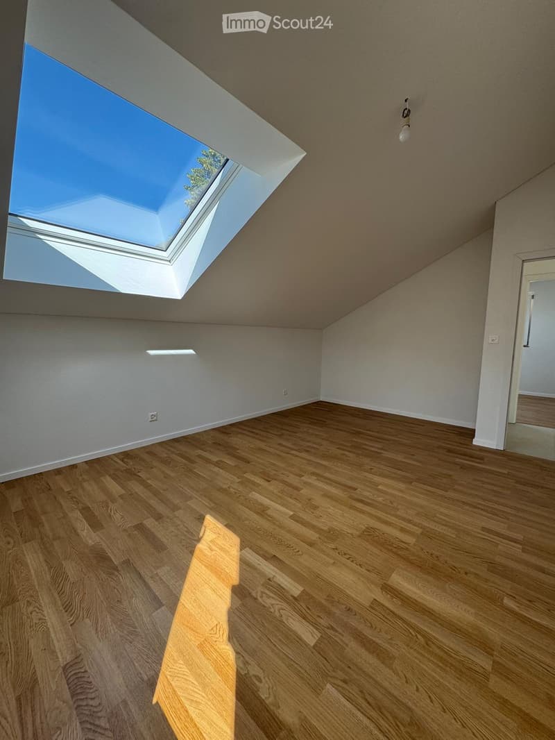 Empty attic or loft space with wooden flooring, white walls, and a skylight window allowing natural light.