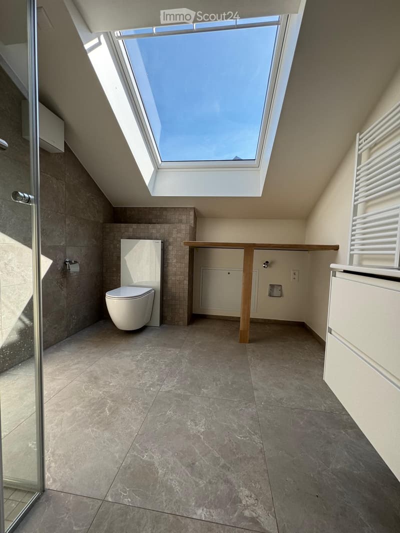 Modern bathroom with a toilet, built-in cabinet, radiator, and a skylight window above.