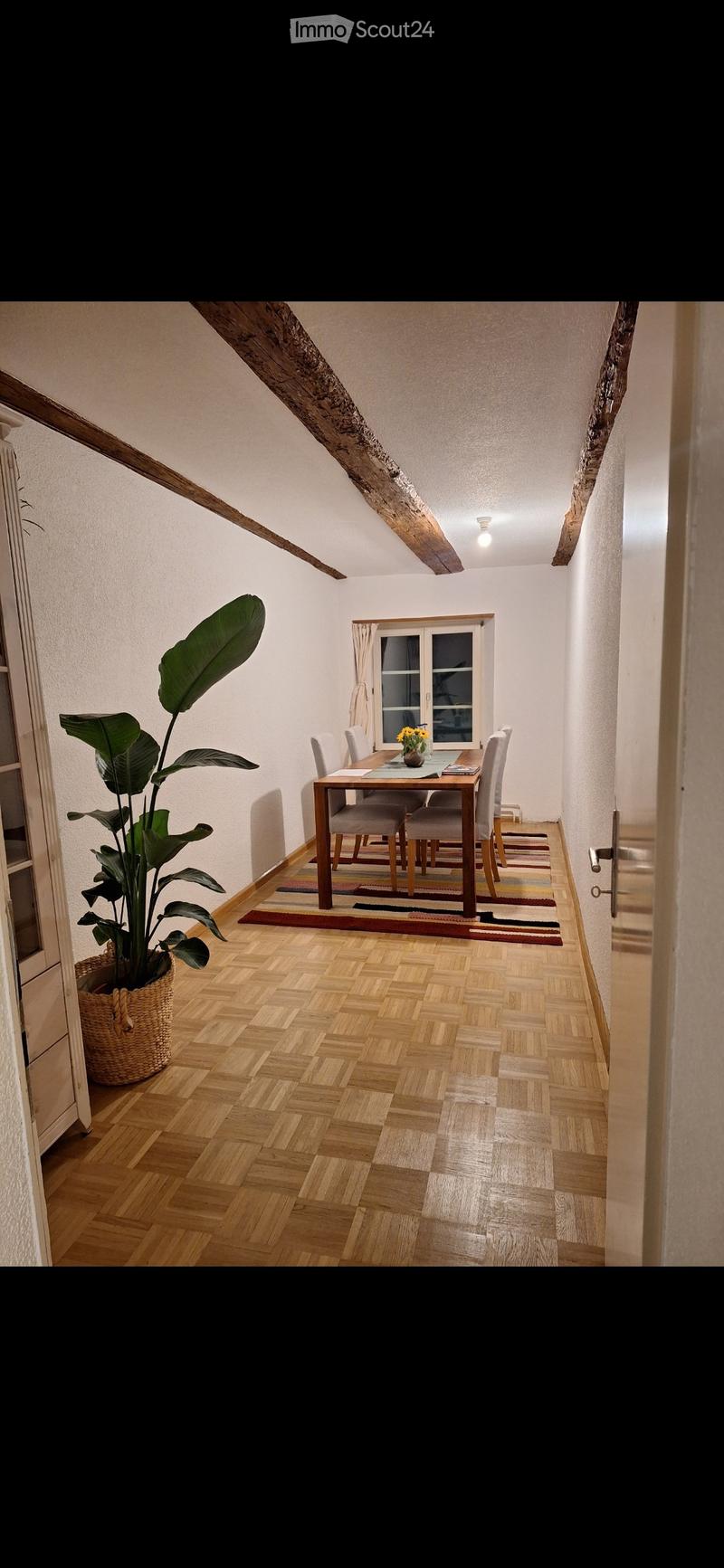 Dining area with wooden herringbone flooring, a large potted plant, a dining table with chairs, and a window with curtains.