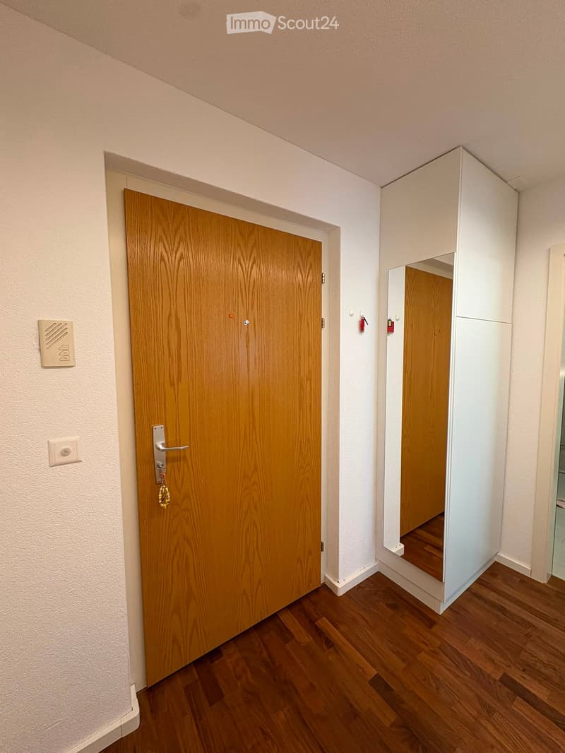 A narrow hallway with wooden flooring, a closed wooden door on the left, and a white cabinet with a mirrored front on the right.