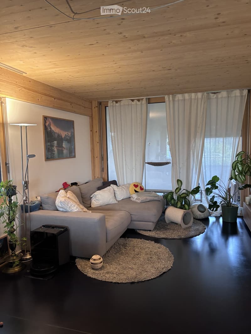 Modern living room with a grey sectional sofa, multiple pillows, a floor lamp, a picture frame, a cat tree, and plants. The room features dark wooden flooring and large windows with white curtains.