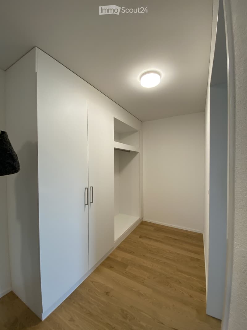 Empty room with white walls, wooden floor, built-in white closet with shelves, and a ceiling light fixture.