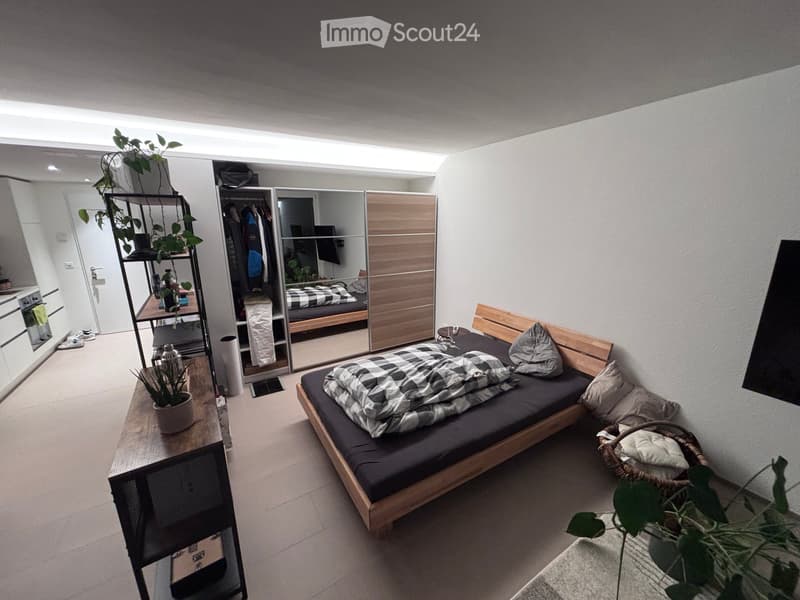 Modern, compact bedroom with a wooden bed, mirror wardrobe, small table, and plants.