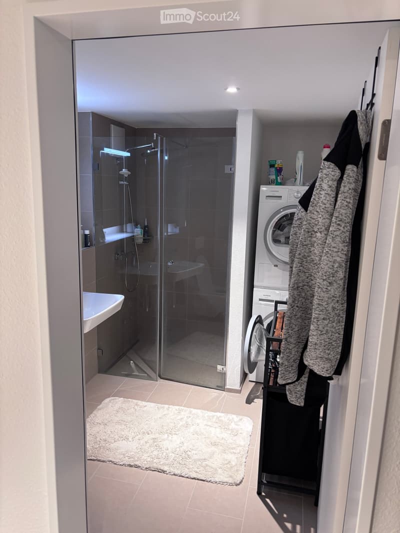 Modern bathroom with a glass-enclosed shower, a white sink, a washing machine, and a fluffy white rug on the floor.