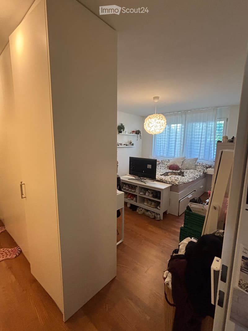 Cozy bedroom with wooden flooring, a bed with pillows and a blanket, a television on a stand, a shoe rack, a small shelf with a potted plant, and a cat resting on the bed.