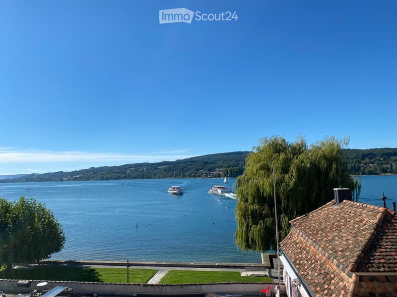 View of a lake with sailboats and a grassy area, surrounded by trees and hills under a clear blue sky.