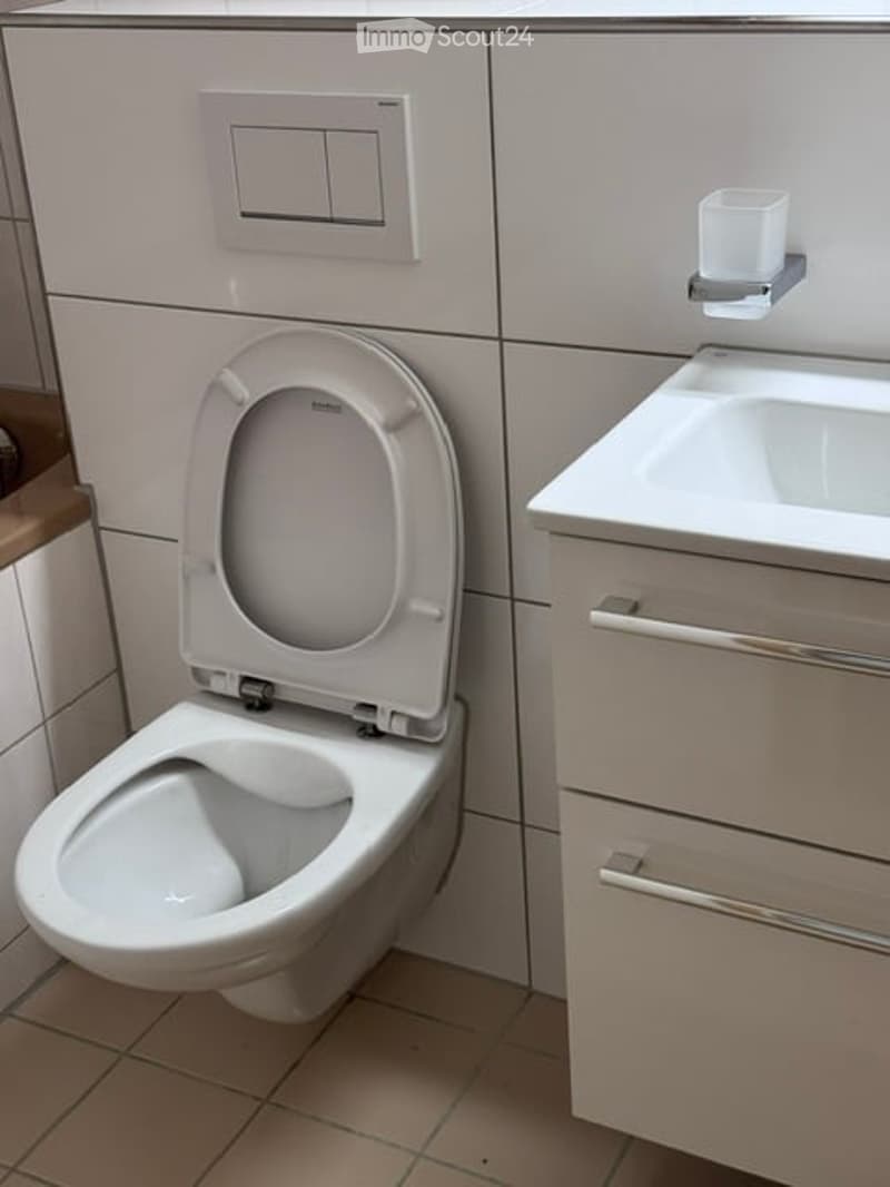 Modern bathroom with a white toilet, a sink with a cabinet, and a toilet paper holder mounted on the wall.