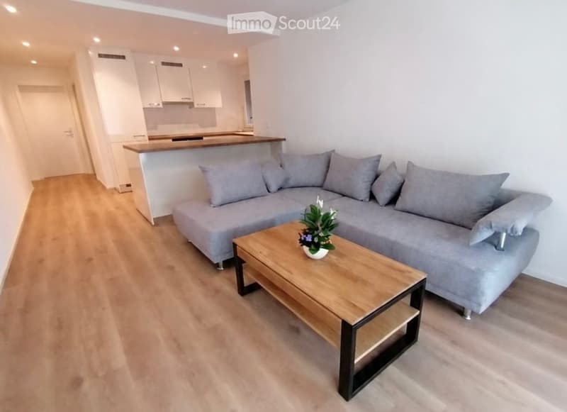 Modern living room with a grey sectional sofa, wooden coffee table with a flower pot, and a small kitchen area with white cabinets and a countertop.
