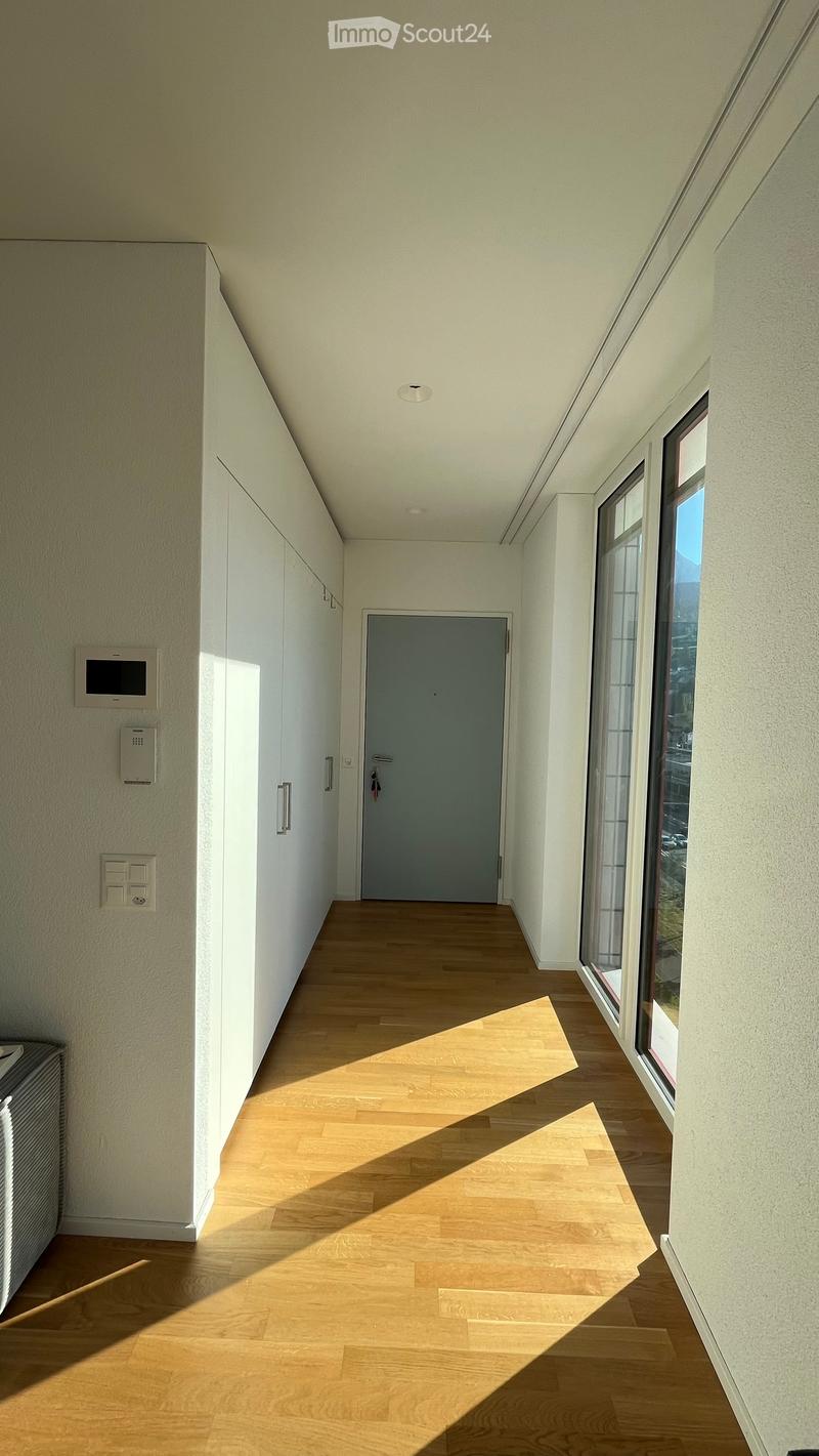Bright, modern hallway with wooden flooring, white walls, and large windows allowing natural light. Features a closed door at the end and built-in storage units on one side.
