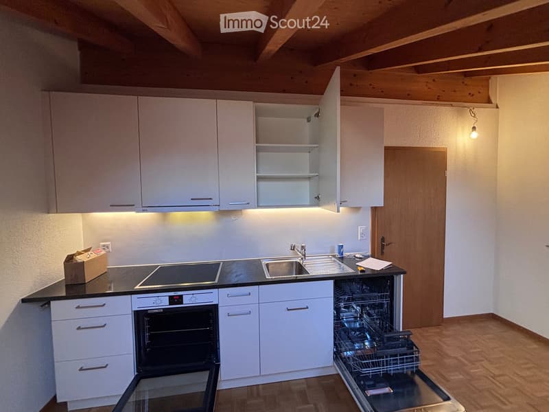 Modern kitchen with white cabinets, stainless steel sink, oven, dishwasher, and wooden flooring.