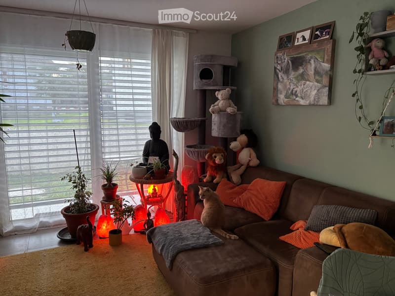 {"type": "Living Room", "objects": ["sofa", "cat tree", "table", "stool", "cat", "plant", "picture frame", "stool", "table lamp", "table", "stool", "stool", "stool", "stool", "stool", "stool", "stool", "stool", "stool", "stool", "stool", "stool", "stool",