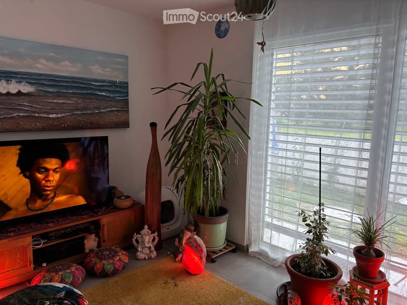 Living room with a television, wooden cabinet, colorful stools, large potted plant, and decorative items.