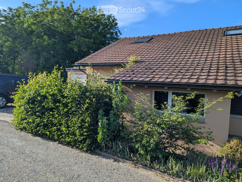 Single-story house with a tiled roof, surrounded by greenery and a gravel driveway.