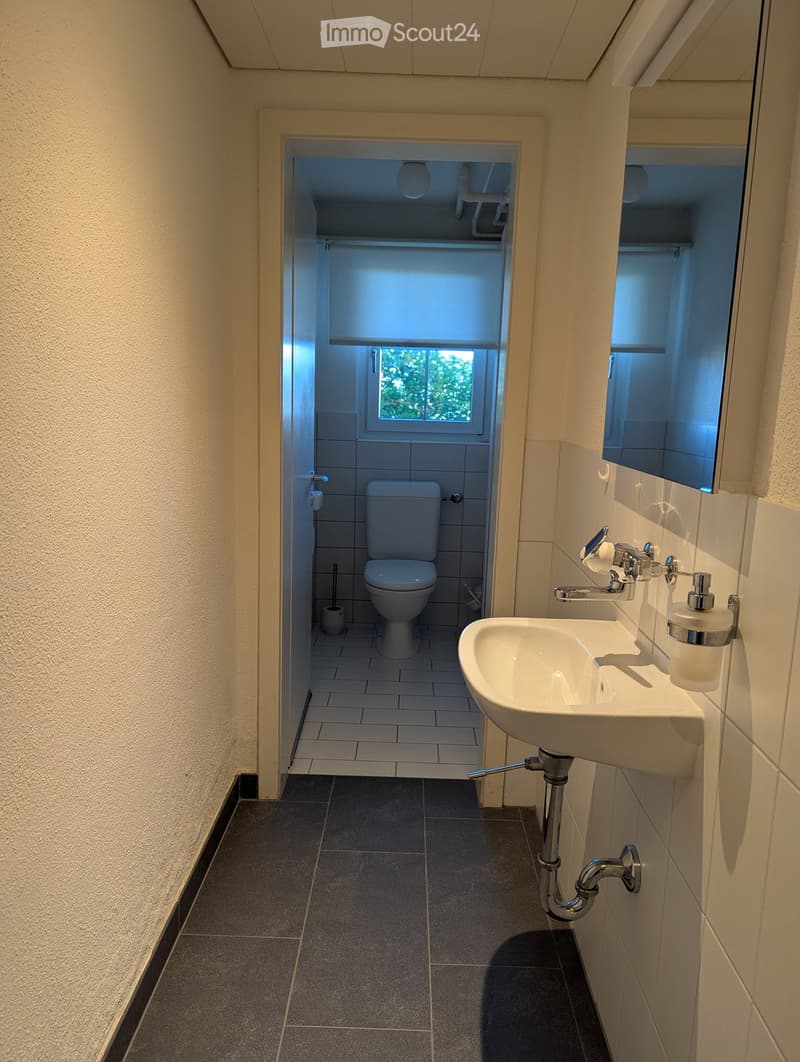 Modern bathroom with a white sink, chrome faucet, toilet, and a mirror. The floor is tiled, and the walls are light-colored.