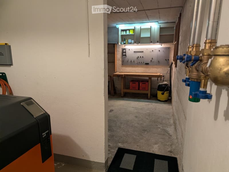 A narrow hallway leads to a utility area with a workbench, storage cabinets, and tools. A black and orange heating unit is visible on the left side.