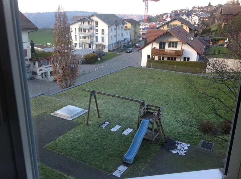 View from a window showing a small garden area with a swing and a slide, surrounded by a residential neighborhood with houses and a road.