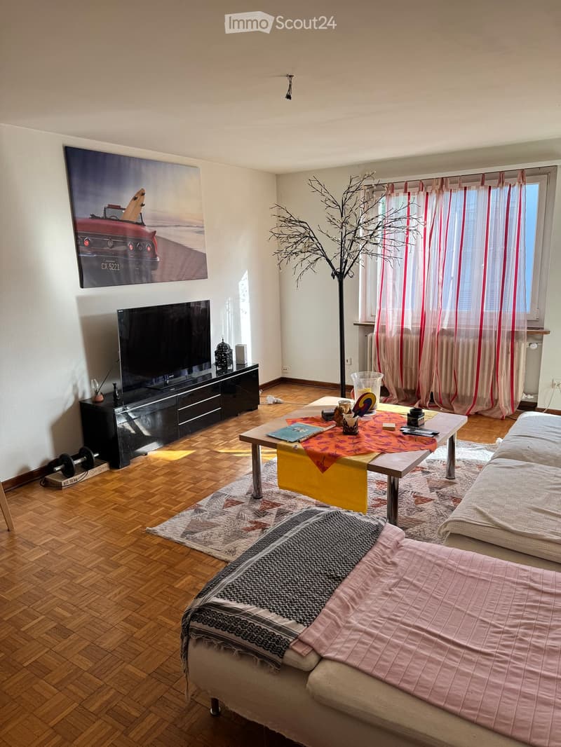Modern living room with wooden flooring, a sofa, coffee table, television, and decorative items.