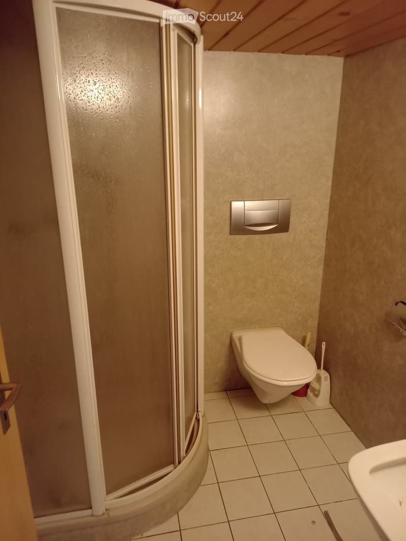 Modern bathroom with a white toilet, a glass-enclosed shower, a sink, and a toilet brush holder.