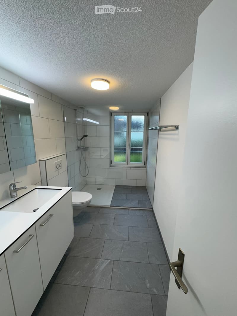 Modern bathroom with grey tiled floor, white walls, sink, toilet, shower, and large mirror.