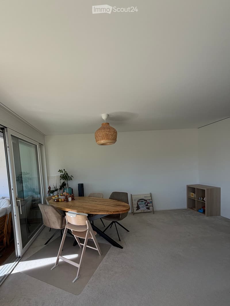Dining area with a round wooden table, four chairs, a hanging woven lamp, a small shelf, and a plant near the sliding glass door.