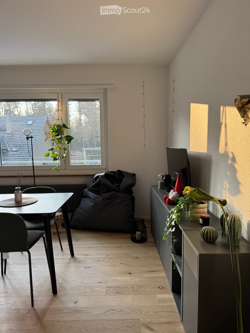 Modern living room with wooden flooring, large windows, a black beanie bag, a sleek dining table with chairs, a cabinet with decorative items, and a hanging plant.