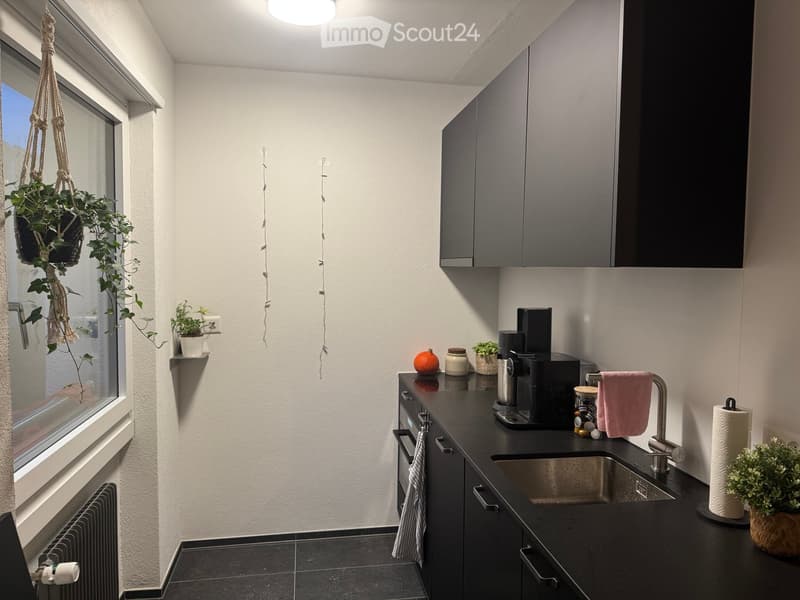 Modern kitchen with dark countertops, stainless steel sink, coffee maker, and various small appliances. Features grey cabinets, a hanging plant, and a window with a view.