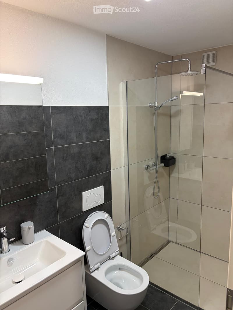 Modern bathroom with a toilet, sink, and glass-enclosed shower. Features dark grey tiles on lower walls and light grey tiles on upper walls, with a sleek chrome showerhead and faucet.