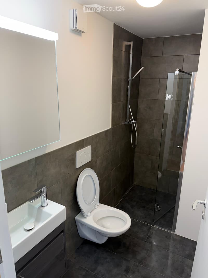 Modern bathroom with a white sink, chrome faucet, toilet with lid up, and a glass-enclosed shower area.