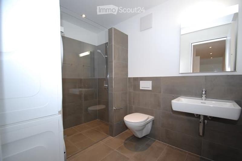 Modern bathroom with a white toilet, white sink, large mirror, and a glass-enclosed shower with brown tiles.